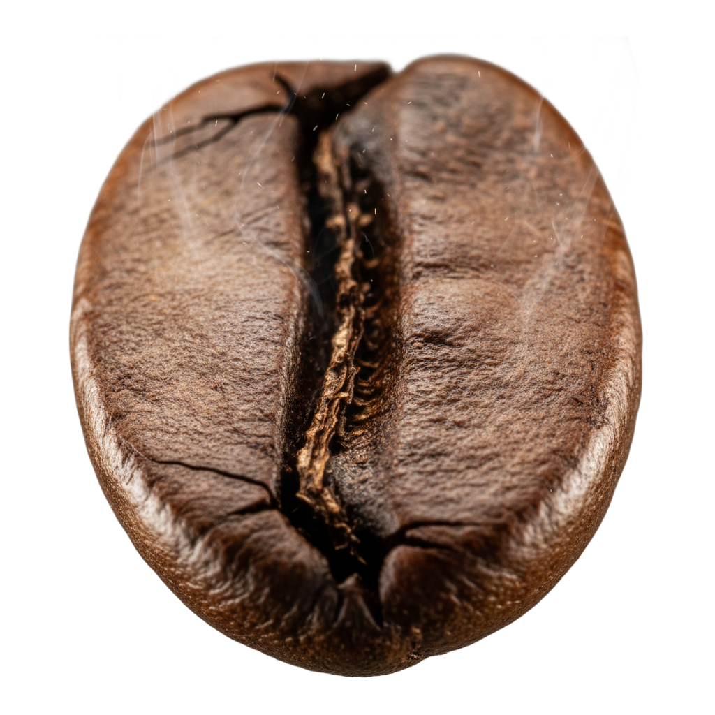 Selektion &amp; Röstung